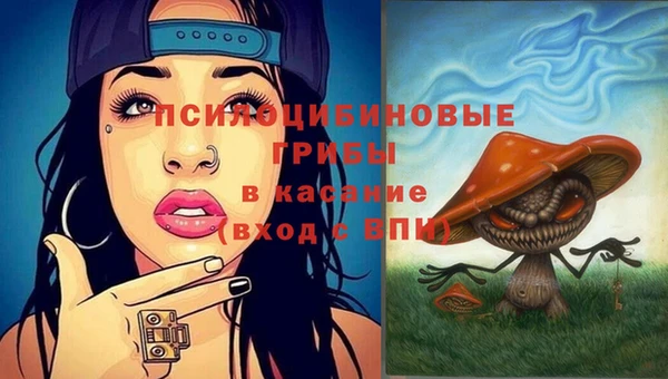 каннабис Коряжма