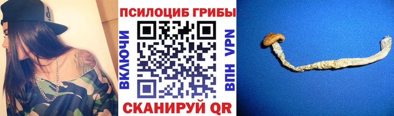 Галлюциногенные грибы Cubensis  Медвежьегорск 