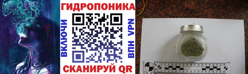 Бошки Шишки марихуана  где продают наркотики  сайты даркнета телеграм  Медвежьегорск 